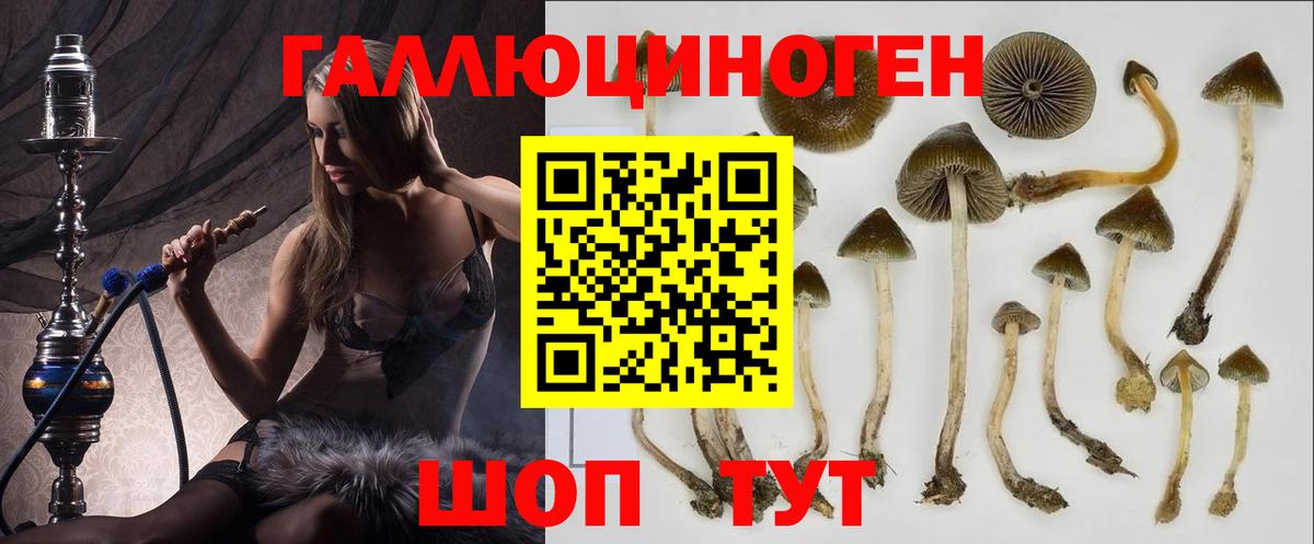 Петровск  Псилоцибиновые грибы ЛСД  Галлюциногенные грибы мухоморы  купить  цена  Вход с VPN 